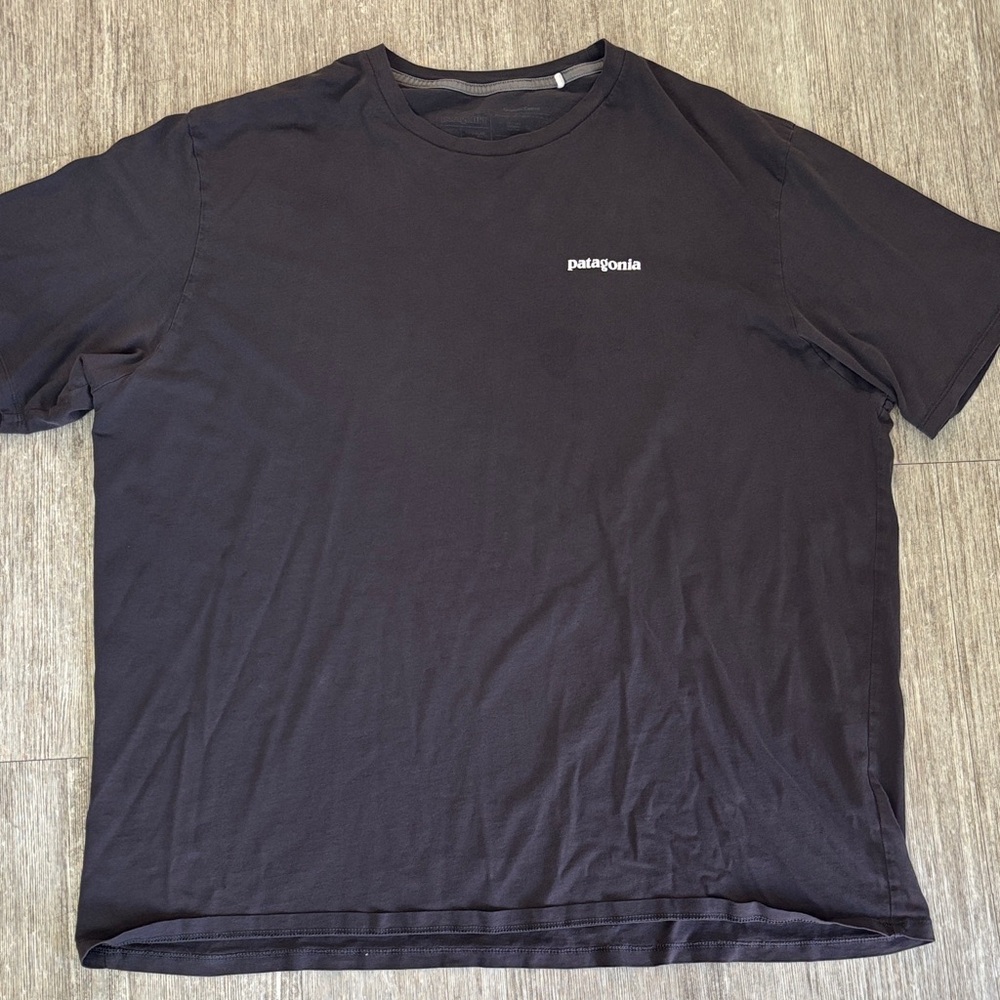 Patagonia Men's Classic Black Tee